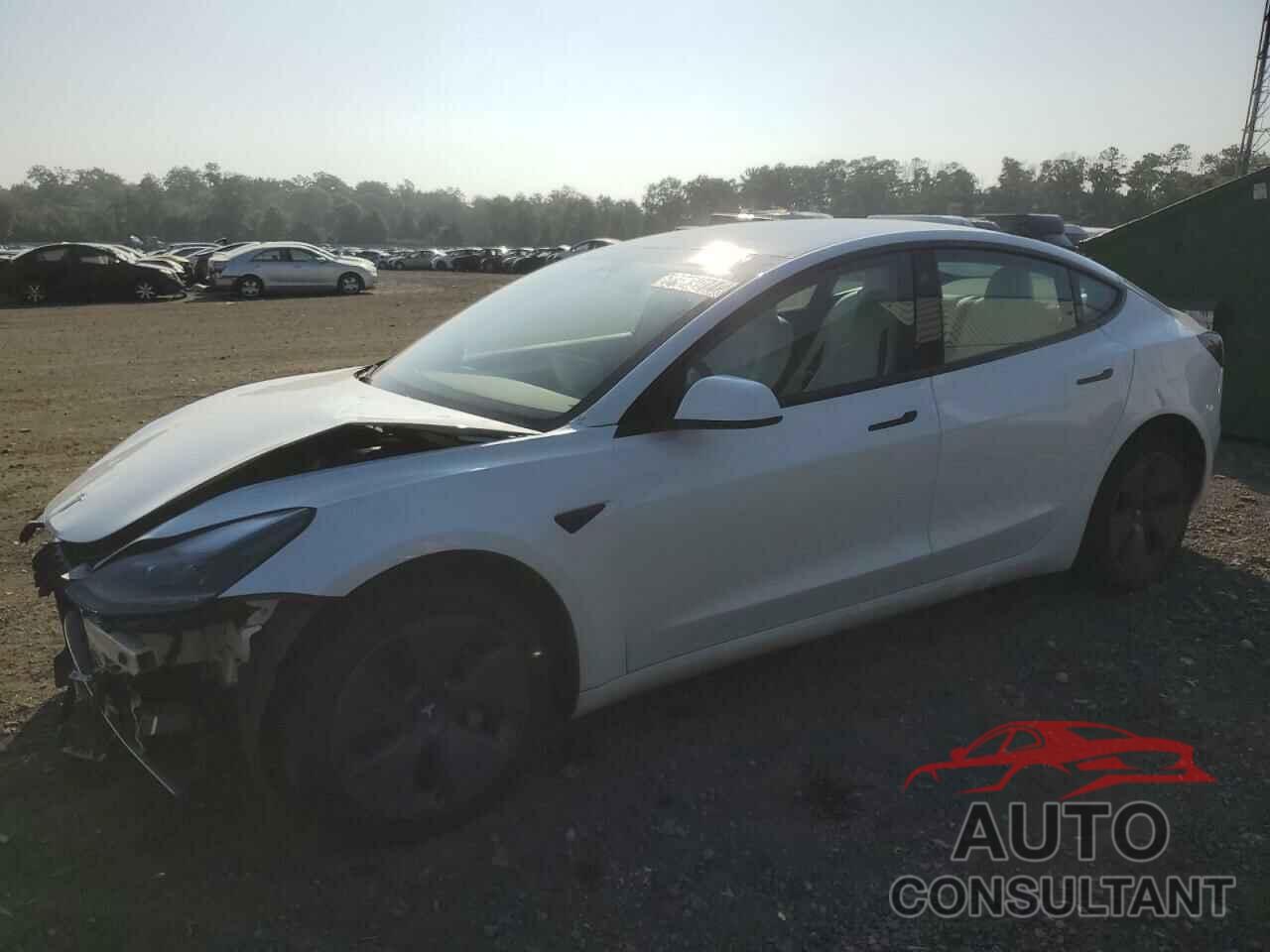 TESLA MODEL 3 2023 - 5YJ3E1EA1PF564693