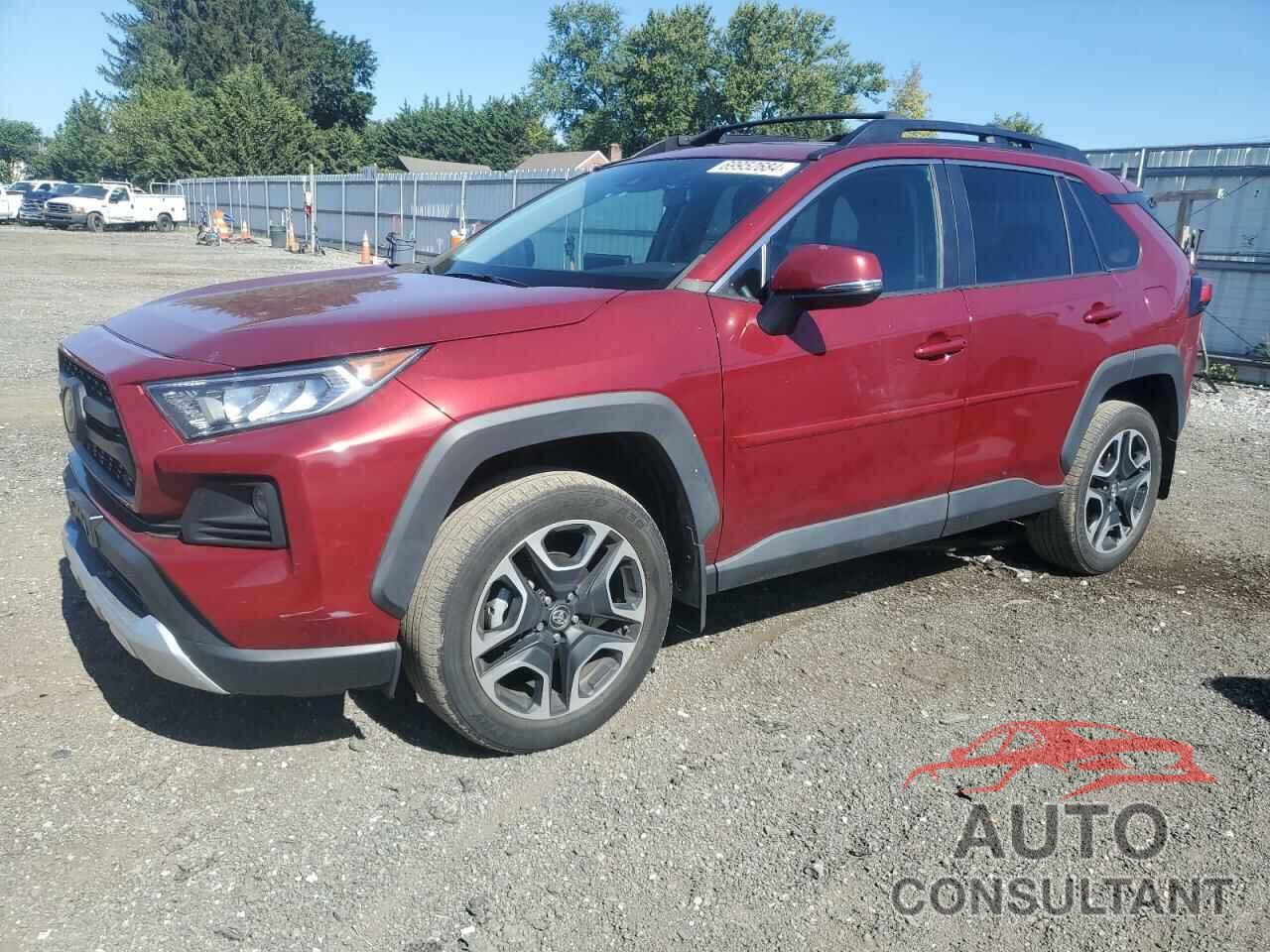 TOYOTA RAV4 2019 - 2T3J1RFV8KW047512