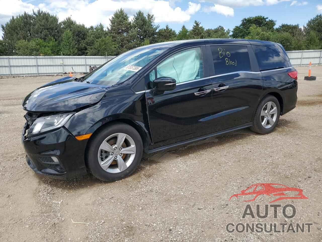 HONDA All Models 2019 - 5FNRL6H55KB080711