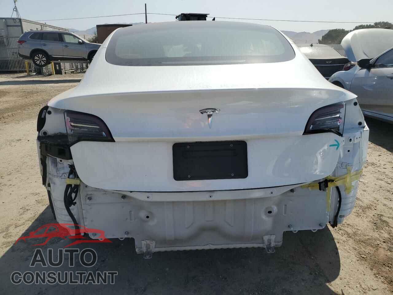 TESLA MODEL 3 2020 - 5YJ3E1EA9LF613066