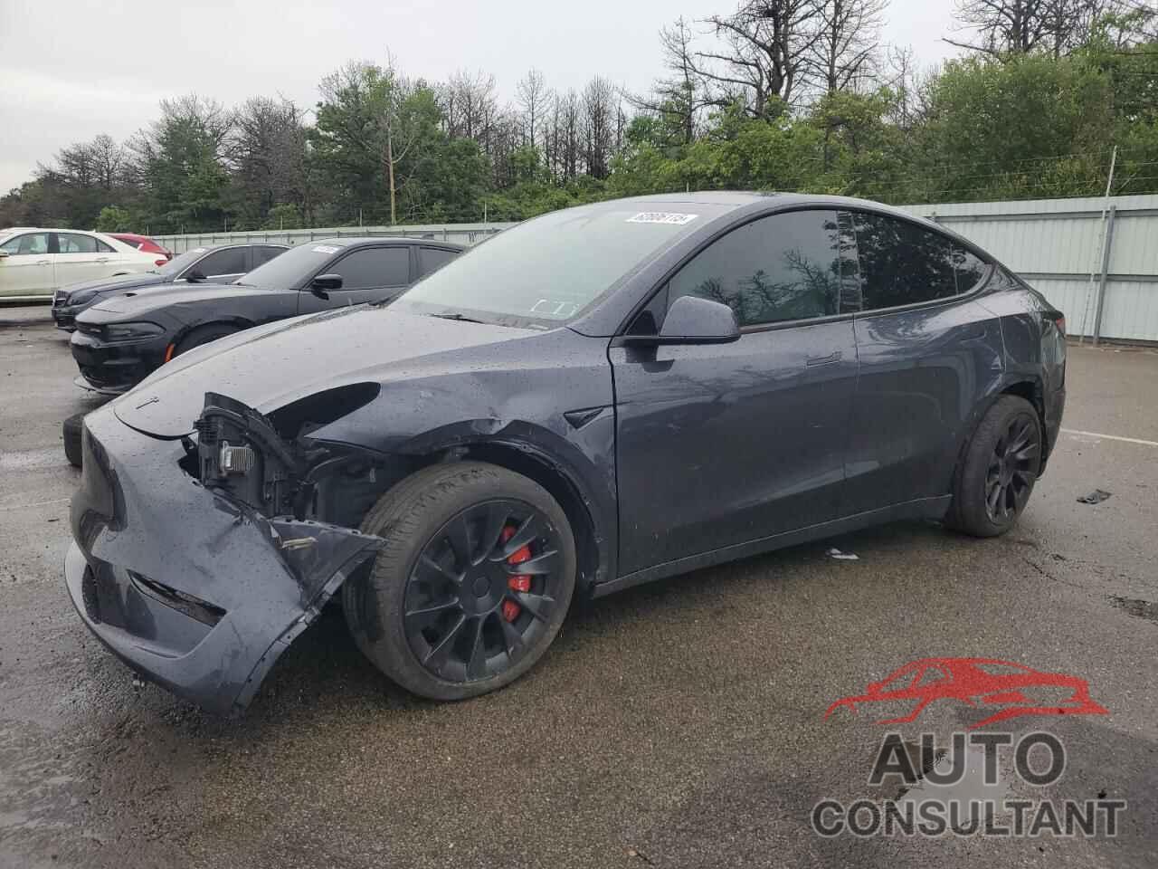 TESLA MODEL Y 2024 - 7SAYGDEE1RA226296