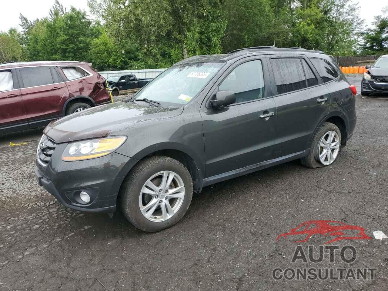 HYUNDAI SANTA FE 2010 - 5NMSKDAG0AH386071