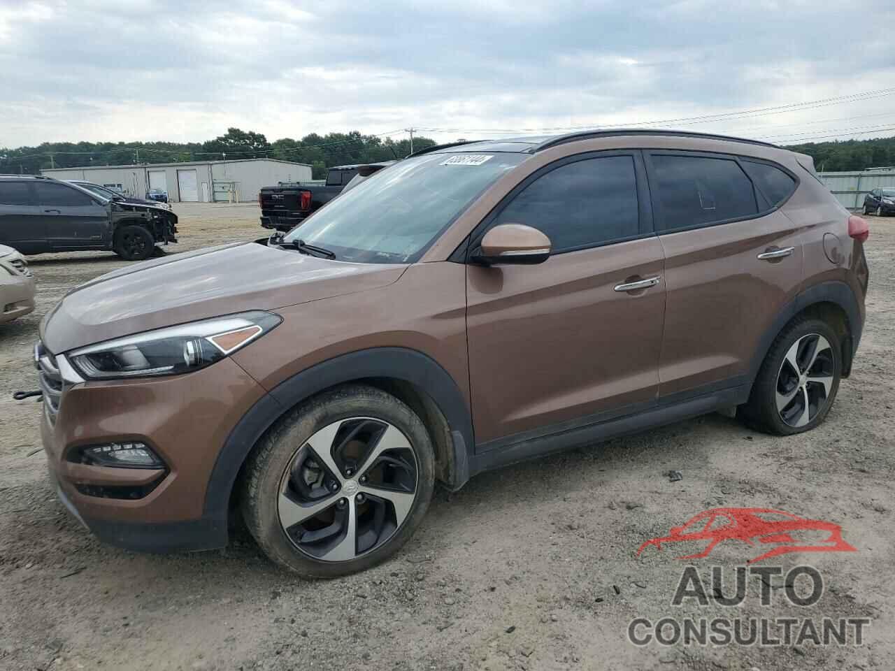 HYUNDAI TUCSON 2016 - KM8J33A26GU221548