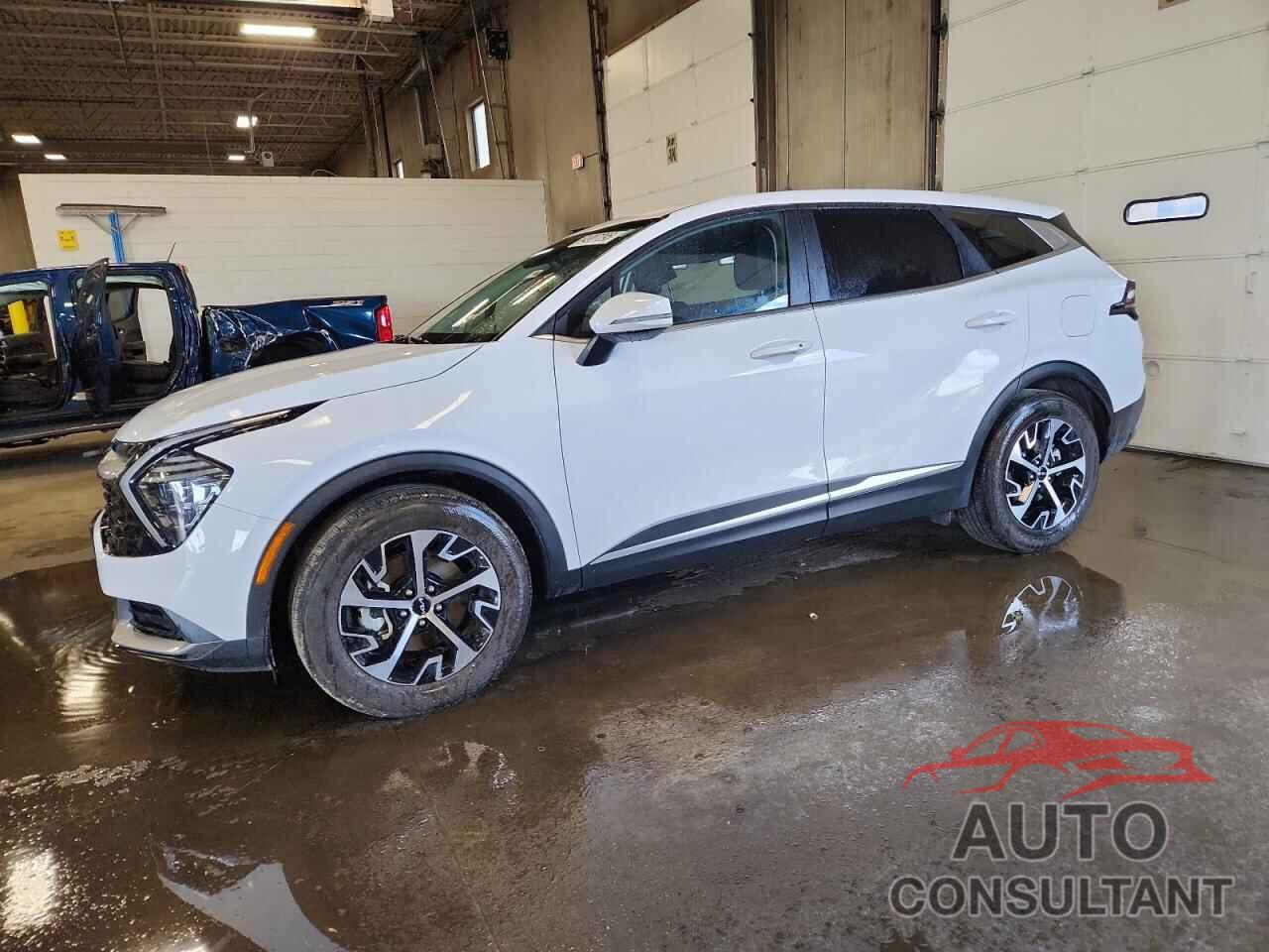 KIA SPORTAGE 2025 - 5XYK33DF5SG246491