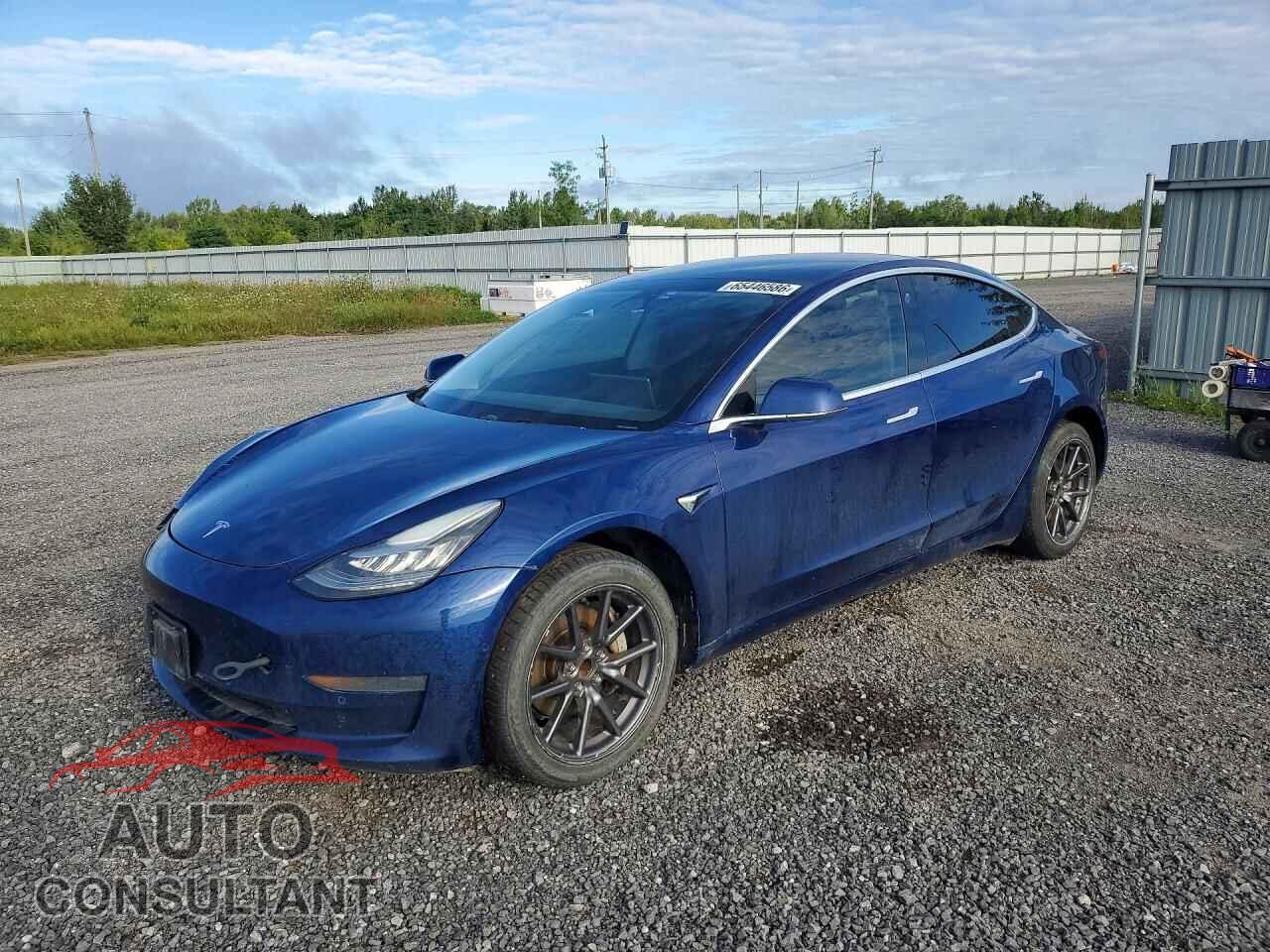 TESLA MODEL 3 2019 - 5YJ3E1EA5KF401067