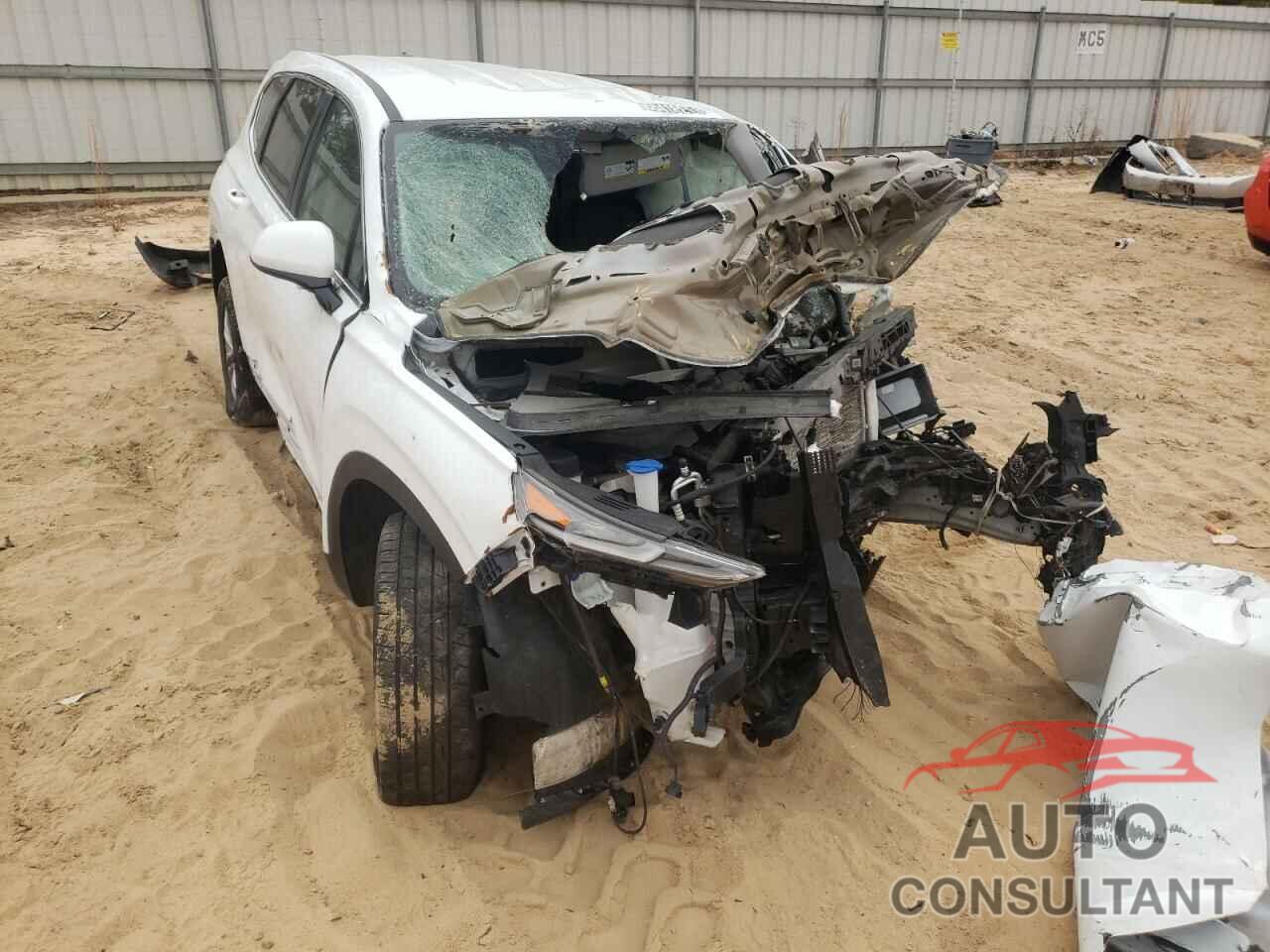HYUNDAI SANTA FE 2020 - 5NMS2CAD2LH154672