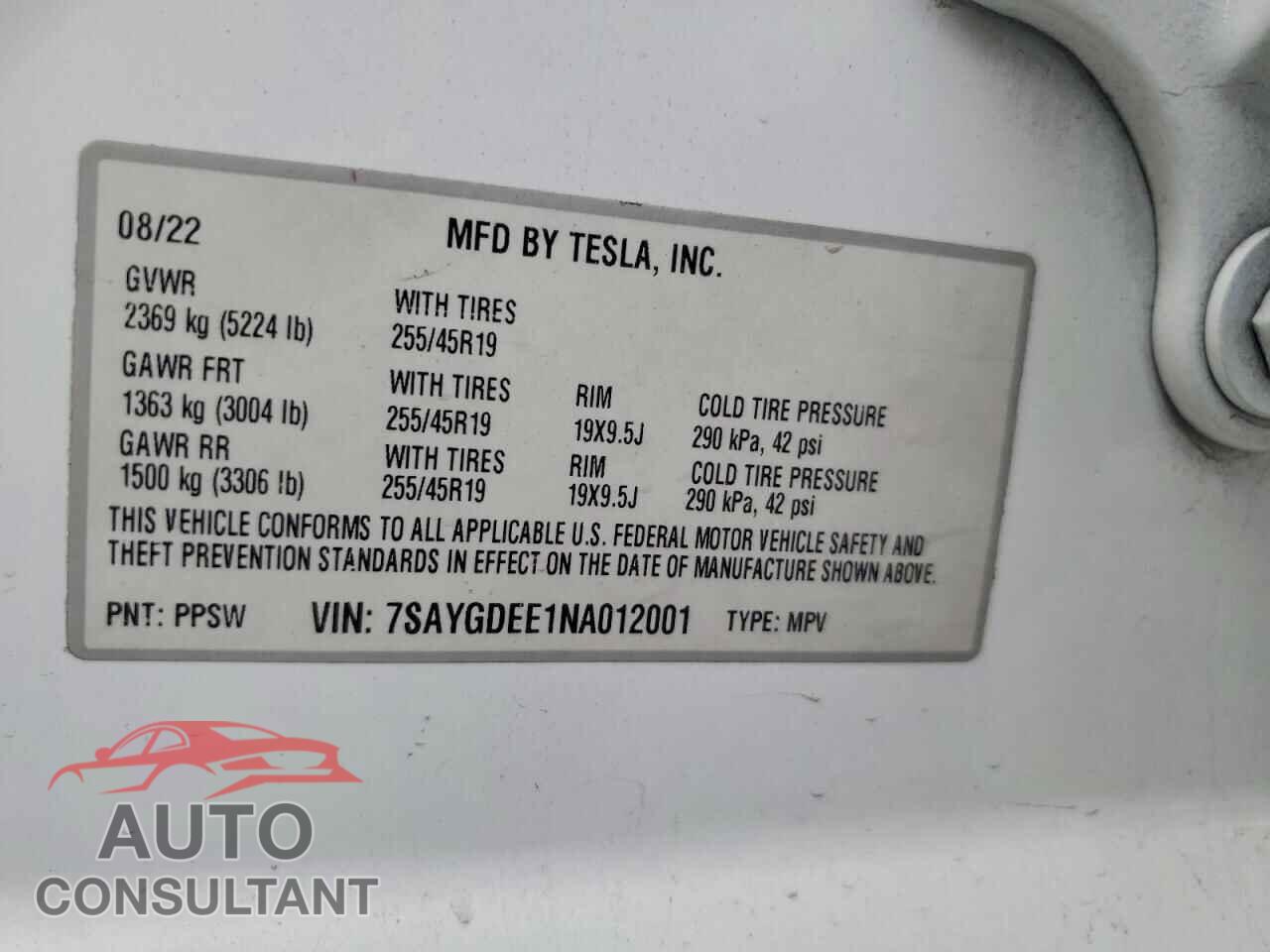 TESLA MODEL Y 2022 - 7SAYGDEE1NA012001