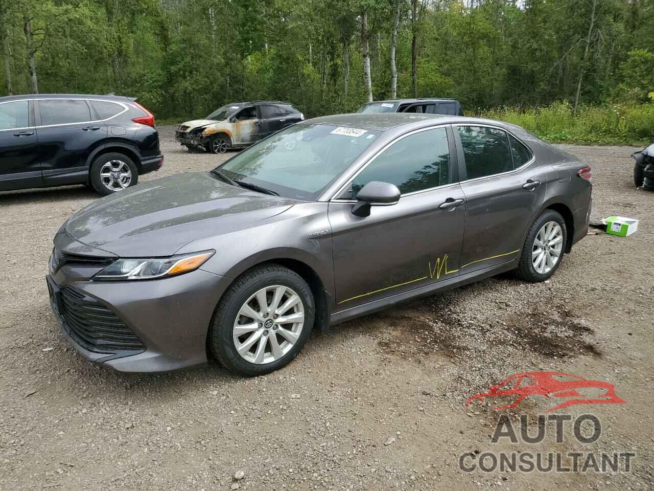 TOYOTA CAMRY 2019 - 4T1B31HK9KU509670