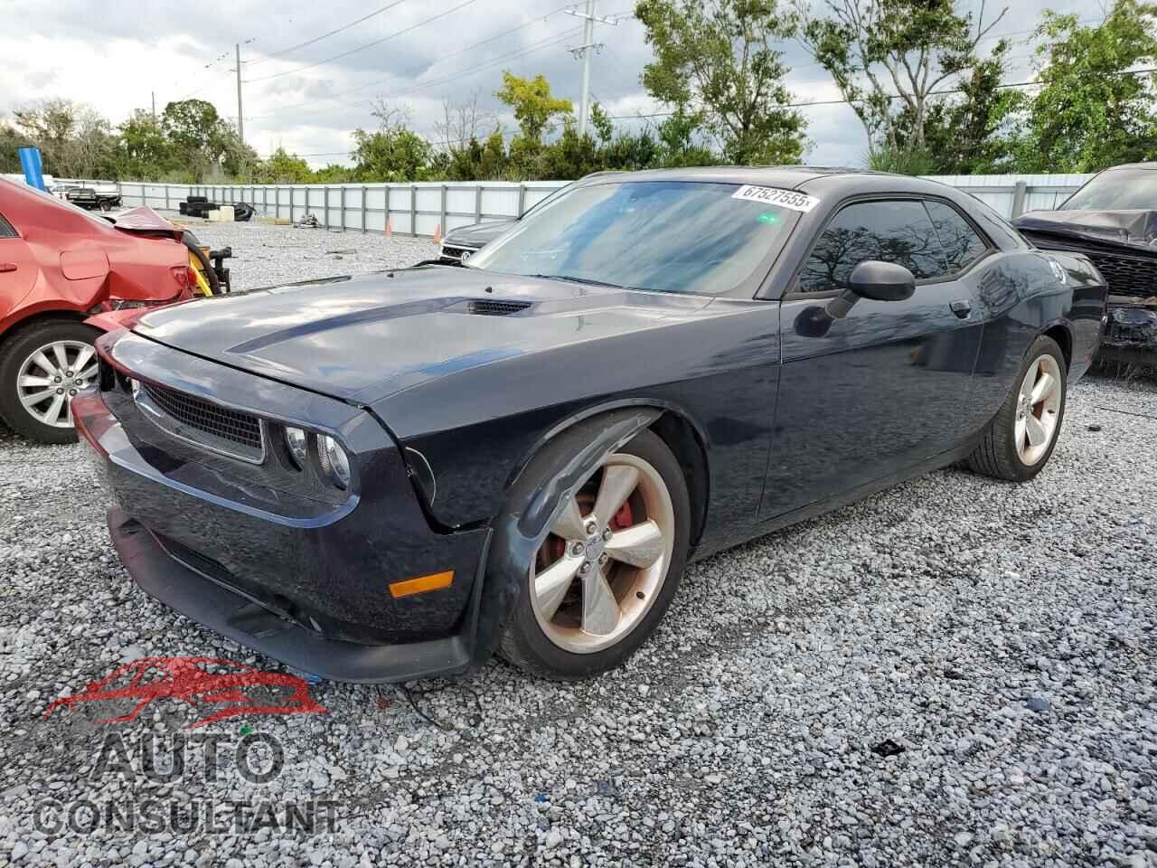 DODGE CHALLENGER 2014 - 2C3CDYBT3EH133947
