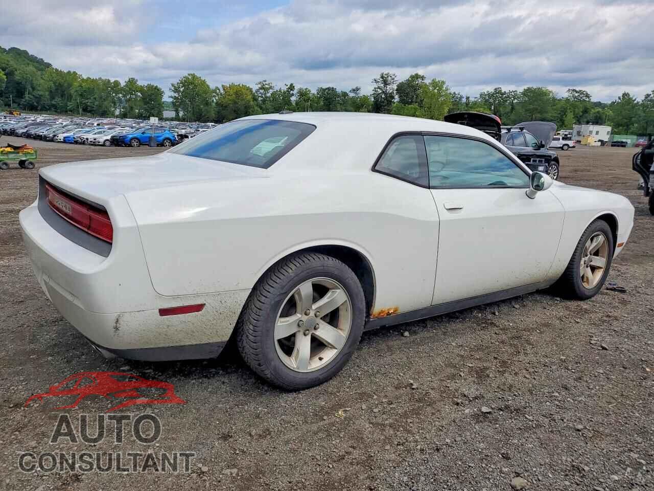 DODGE CHALLENGER 2013 - 2C3CDYAG8DH741661