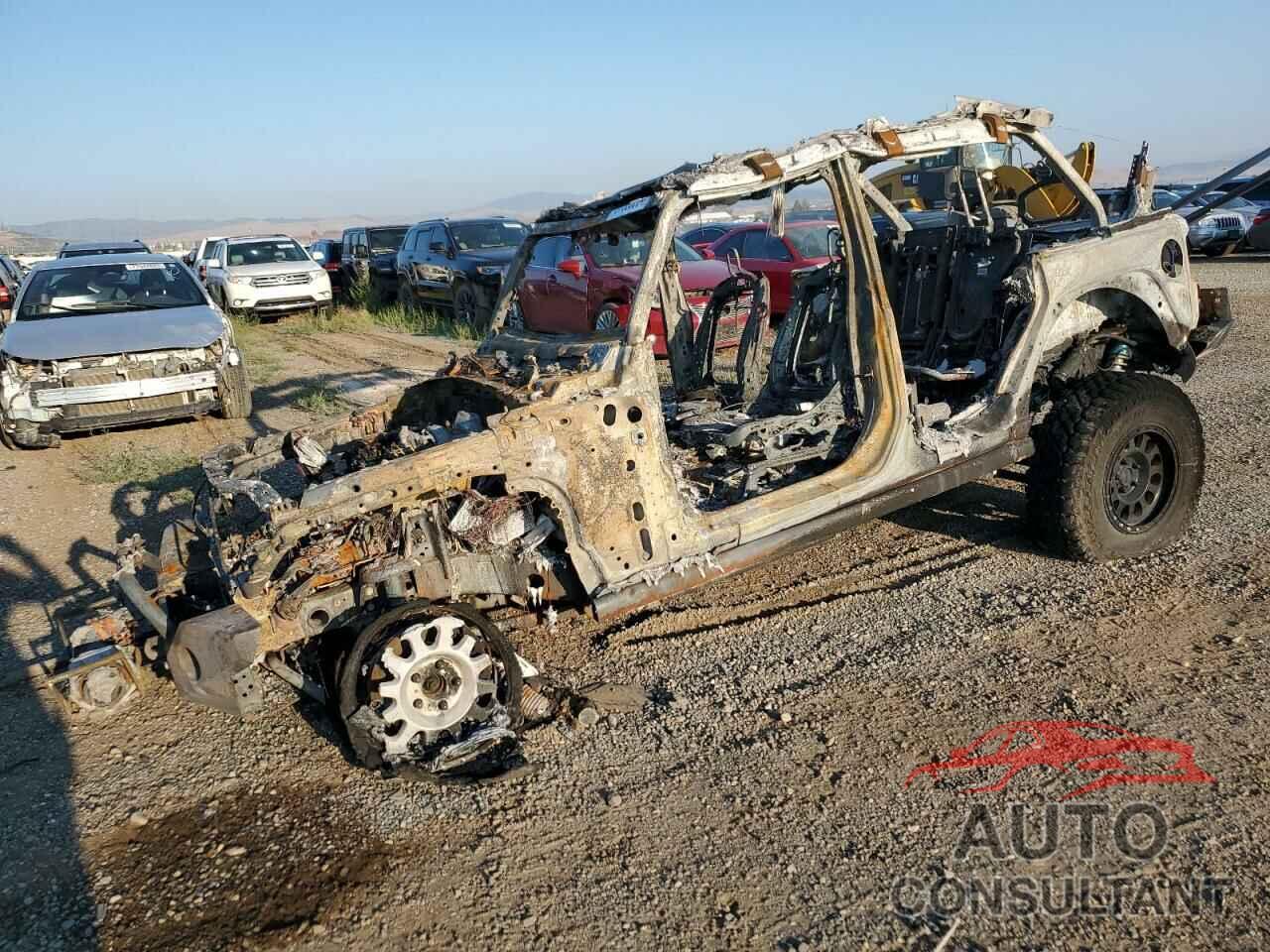 JEEP WRANGLER 2024 - 1C4PJXDN8RW129088
