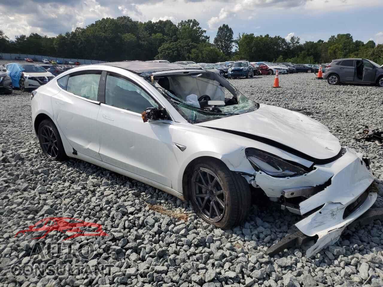 TESLA MODEL 3 2019 - 5YJ3E1EA7KF299819