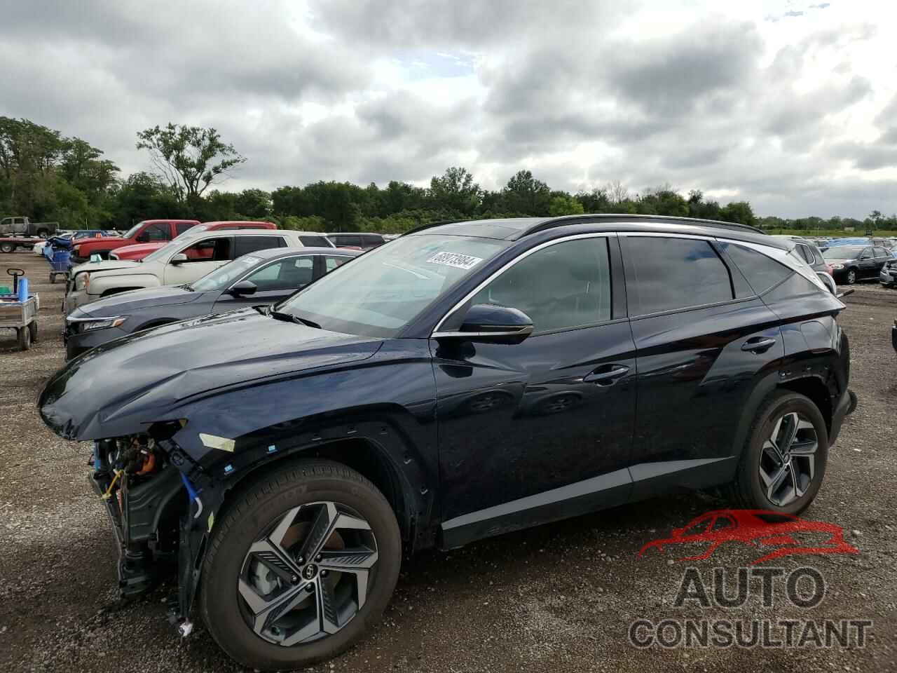 HYUNDAI TUCSON 2023 - KM8JECA10PU122709