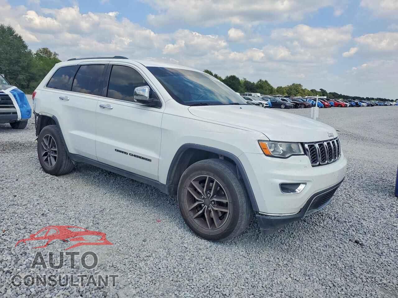 JEEP CHEROKEE 2019 - 1C4RJEBG5KC731214