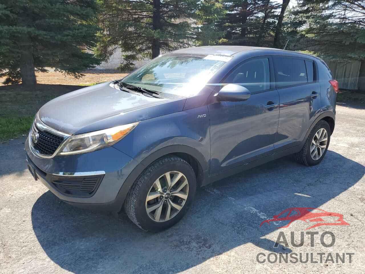 KIA SPORTAGE 2016 - KNDPBCAC4G7820022