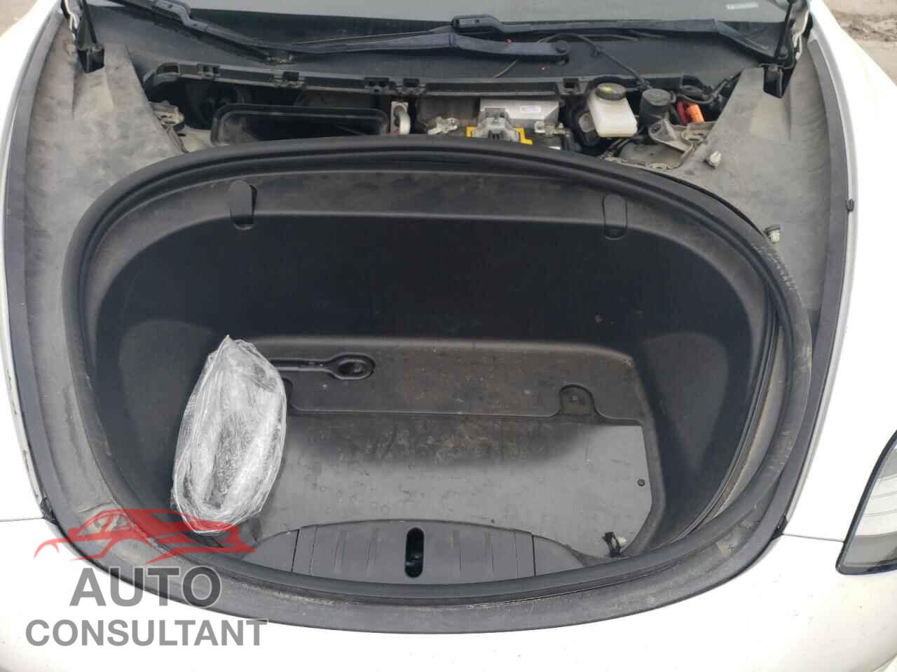 TESLA MODEL 3 2019 - 5YJ3E1EA9KF309928