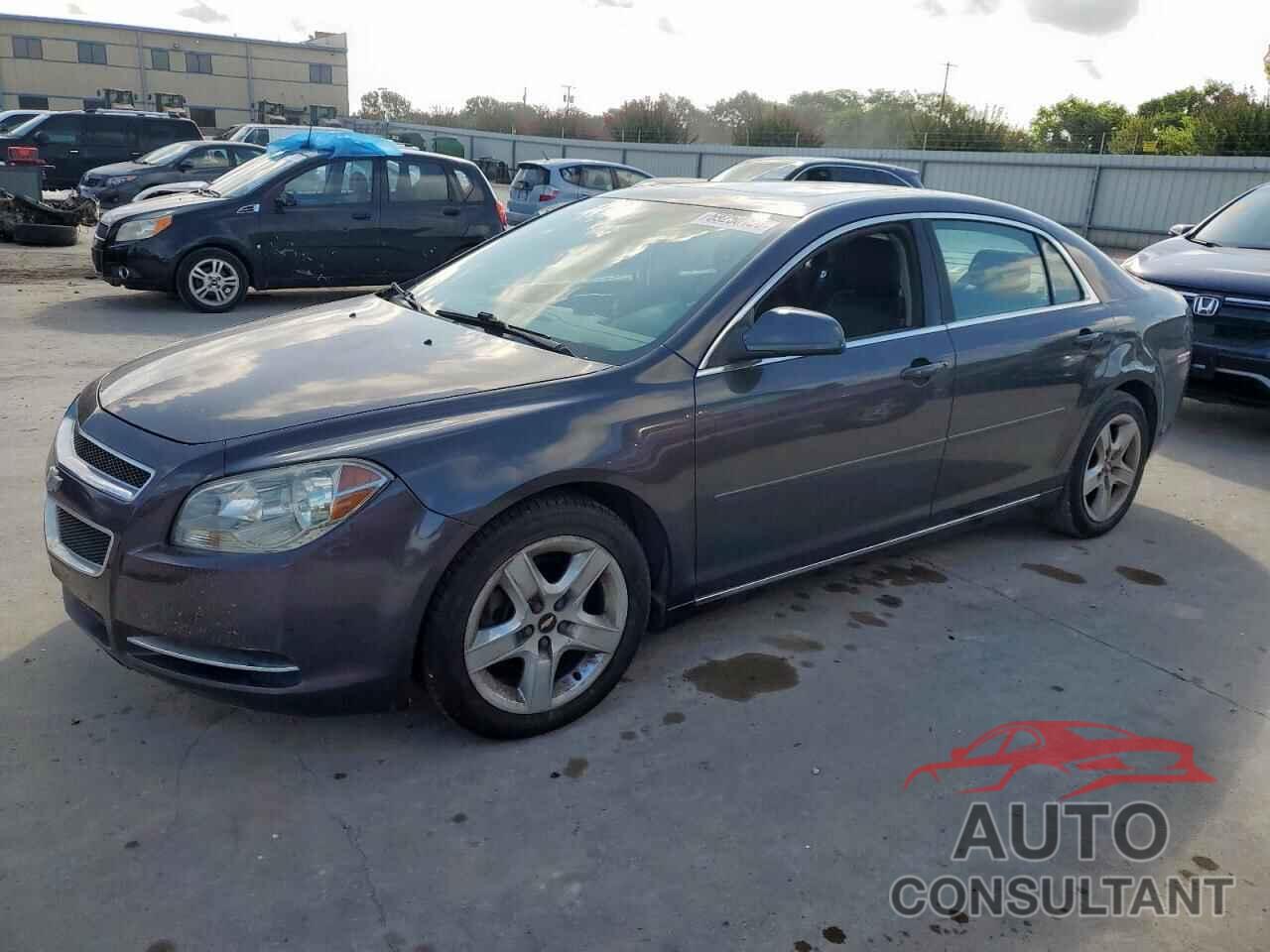 CHEVROLET MALIBU 2010 - 1G1ZC5E05AF321527