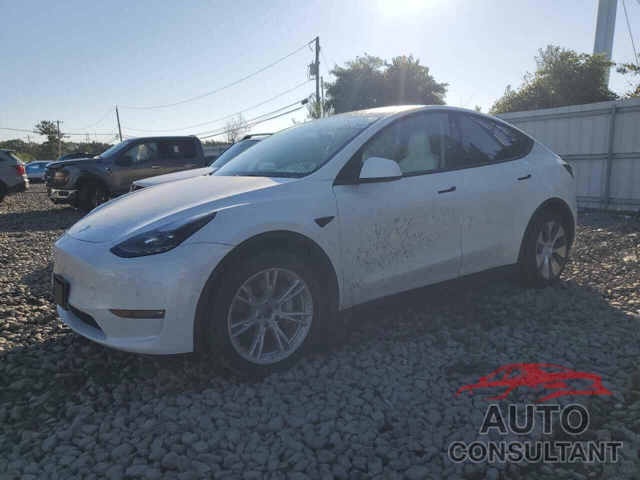 TESLA MODEL Y 2022 - 7SAYGDEEXNF549646