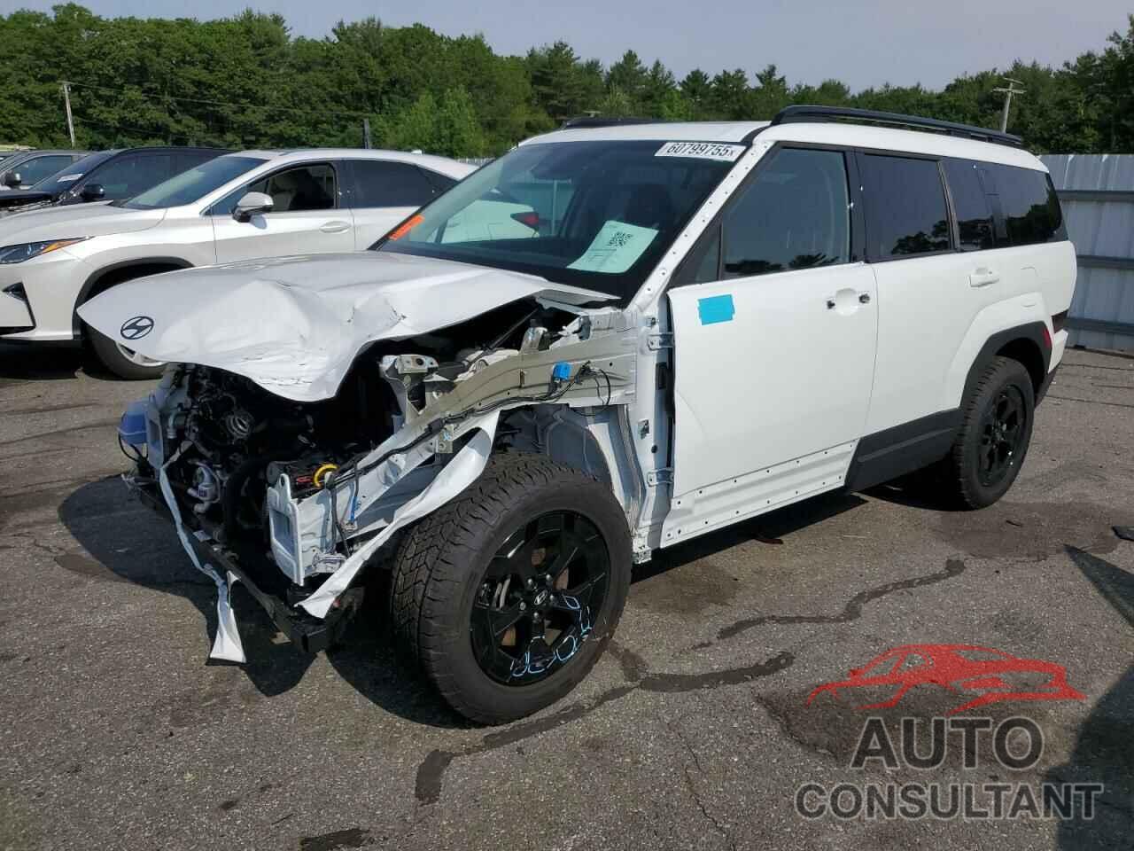 HYUNDAI SANTA FE 2025 - 5NMP3DGL6SH080789