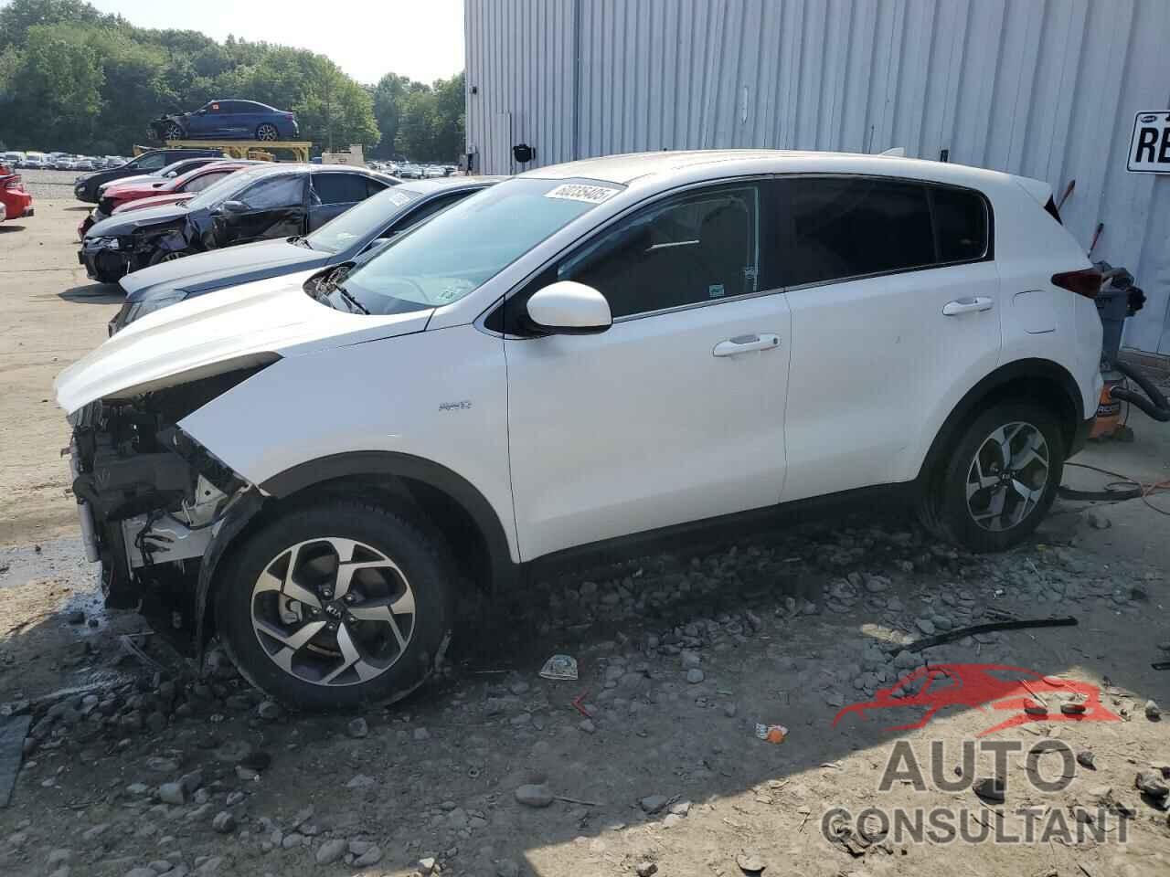 KIA SPORTAGE 2021 - KNDPMCAC2M7904202
