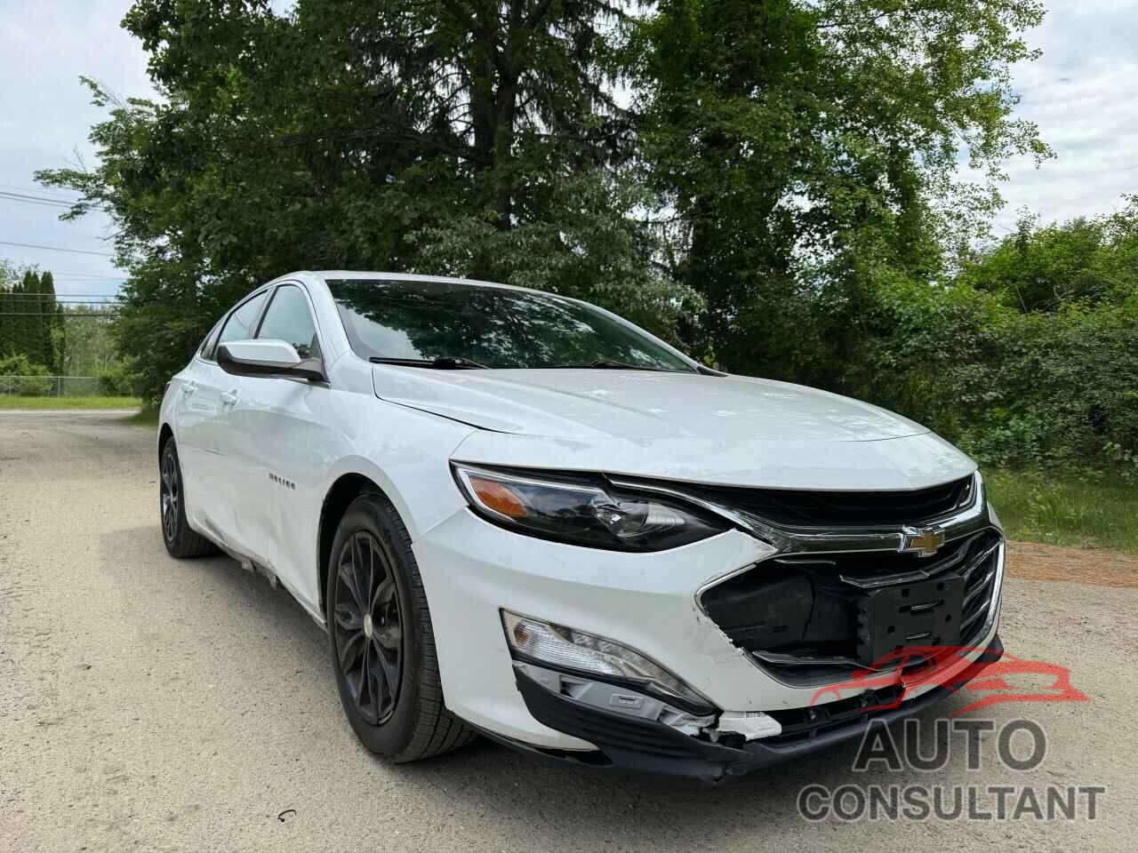 CHEVROLET MALIBU 2019 - 1G1ZD5STXKF220223