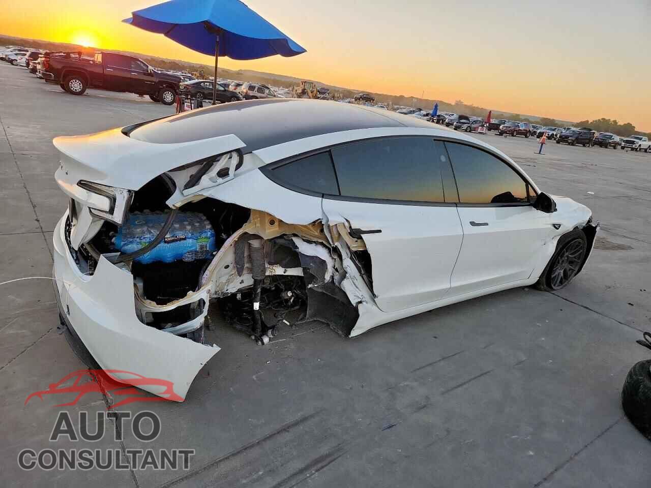 TESLA MODEL 3 2024 - 5YJ3E1EA8RF731344