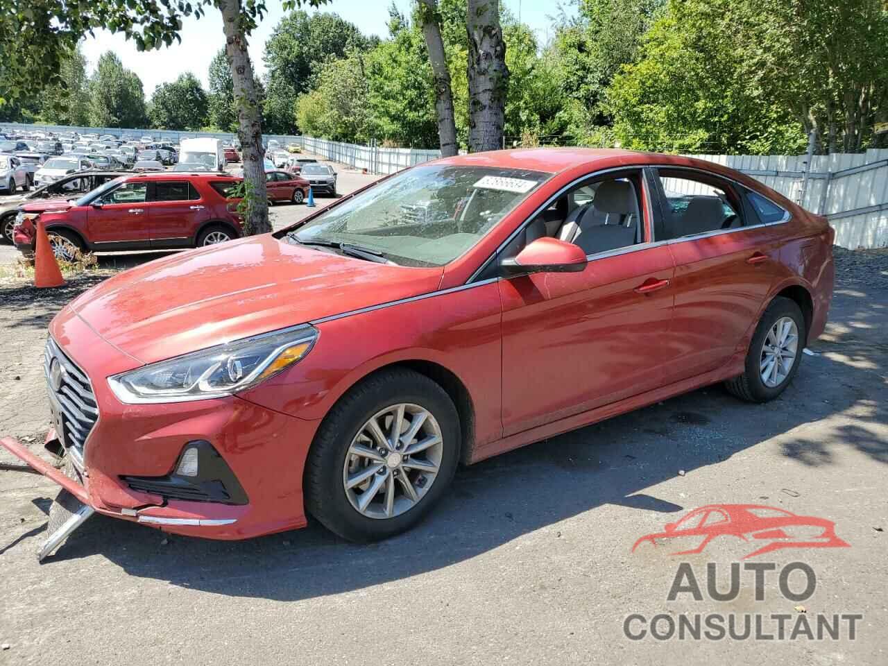 HYUNDAI SONATA 2019 - 5NPE24AF8KH752125