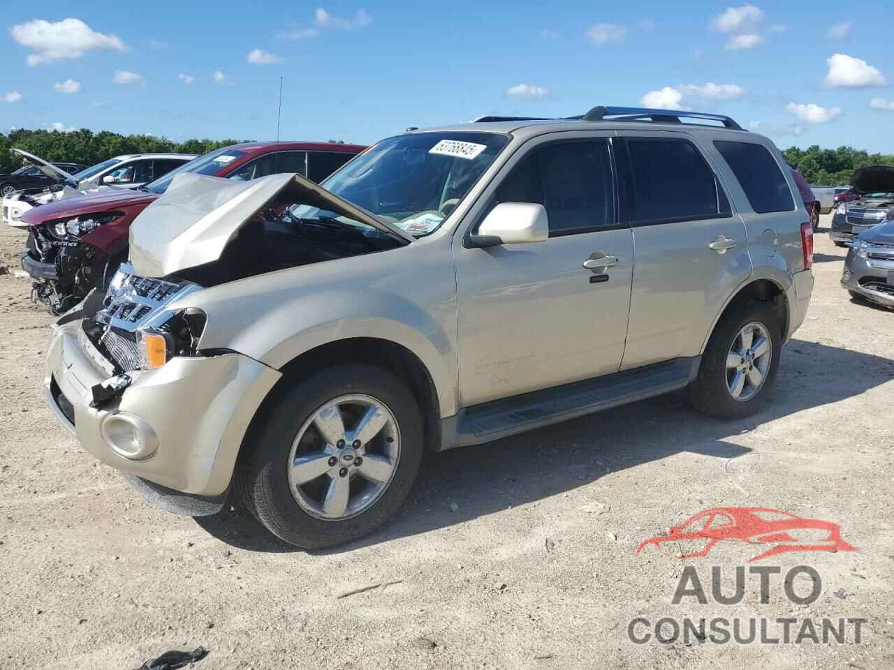 FORD ESCAPE 2010 - 1FMCU0EG3AKC94650