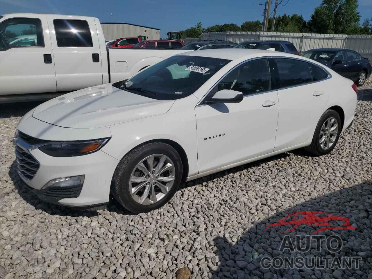 CHEVROLET MALIBU 2019 - 1G1ZD5ST3KF176436