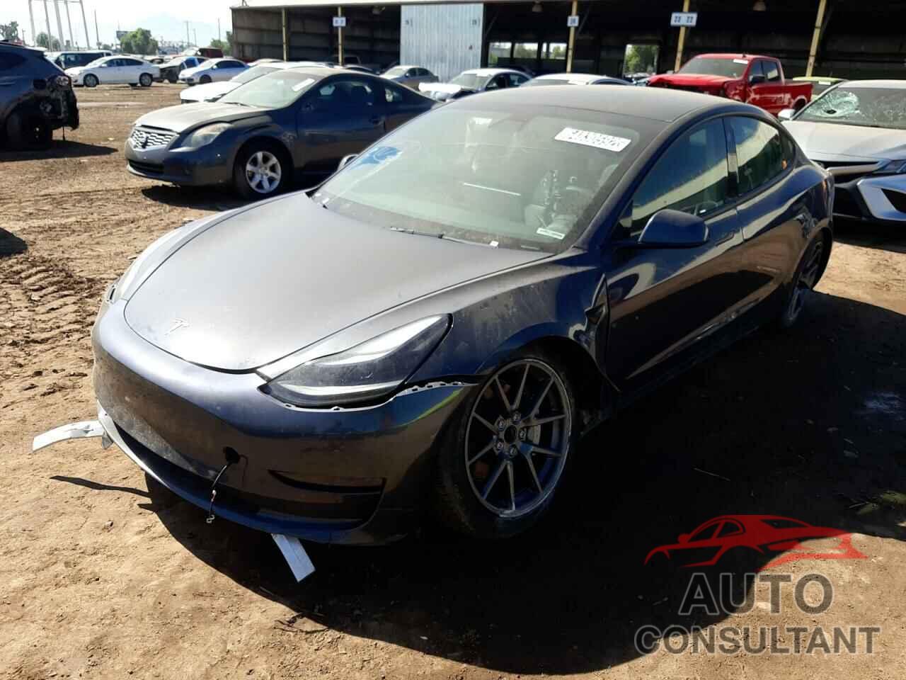 TESLA MODEL 3 2021 - 5YJ3E1EA2MF092287