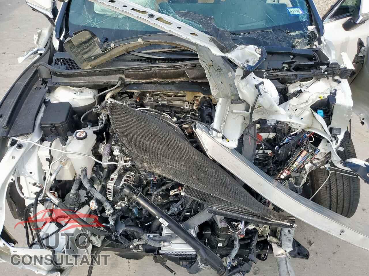LEXUS RX350 2024 - 2T2BAMBA8RC031319