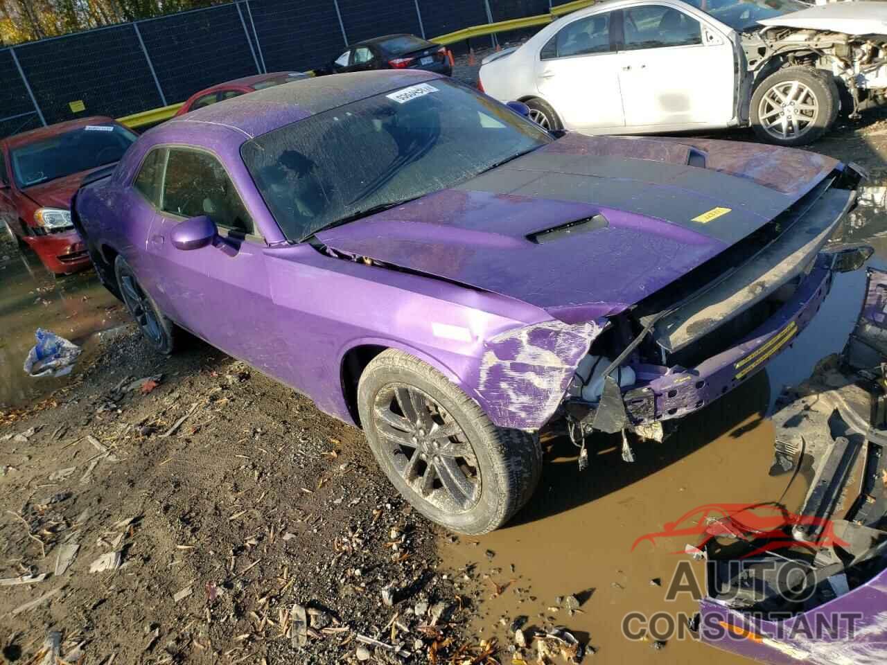 DODGE CHALLENGER 2019 - 2C3CDZGG8KH526209