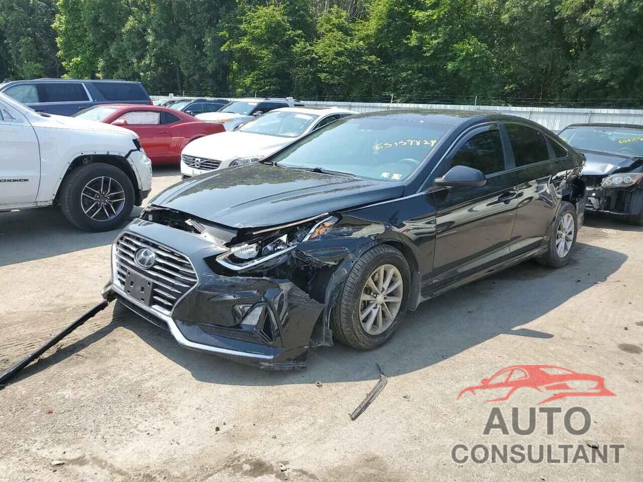 HYUNDAI SONATA 2019 - 5NPE24AF9KH783044