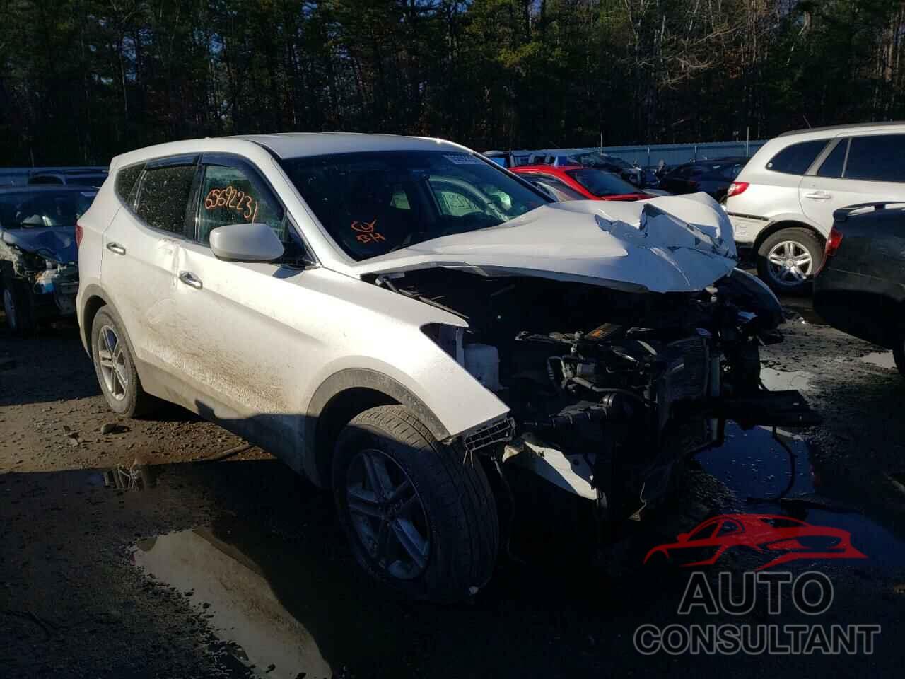 HYUNDAI SANTA FE 2017 - 5XYZTDLB0HG430376
