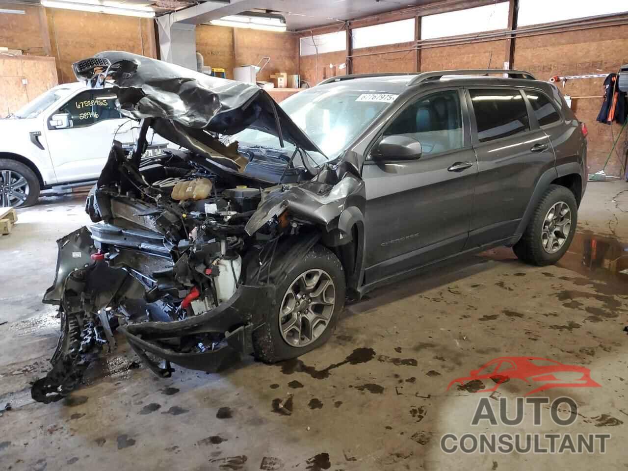 JEEP CHEROKEE 2021 - 1C4PJMBX1MD167057