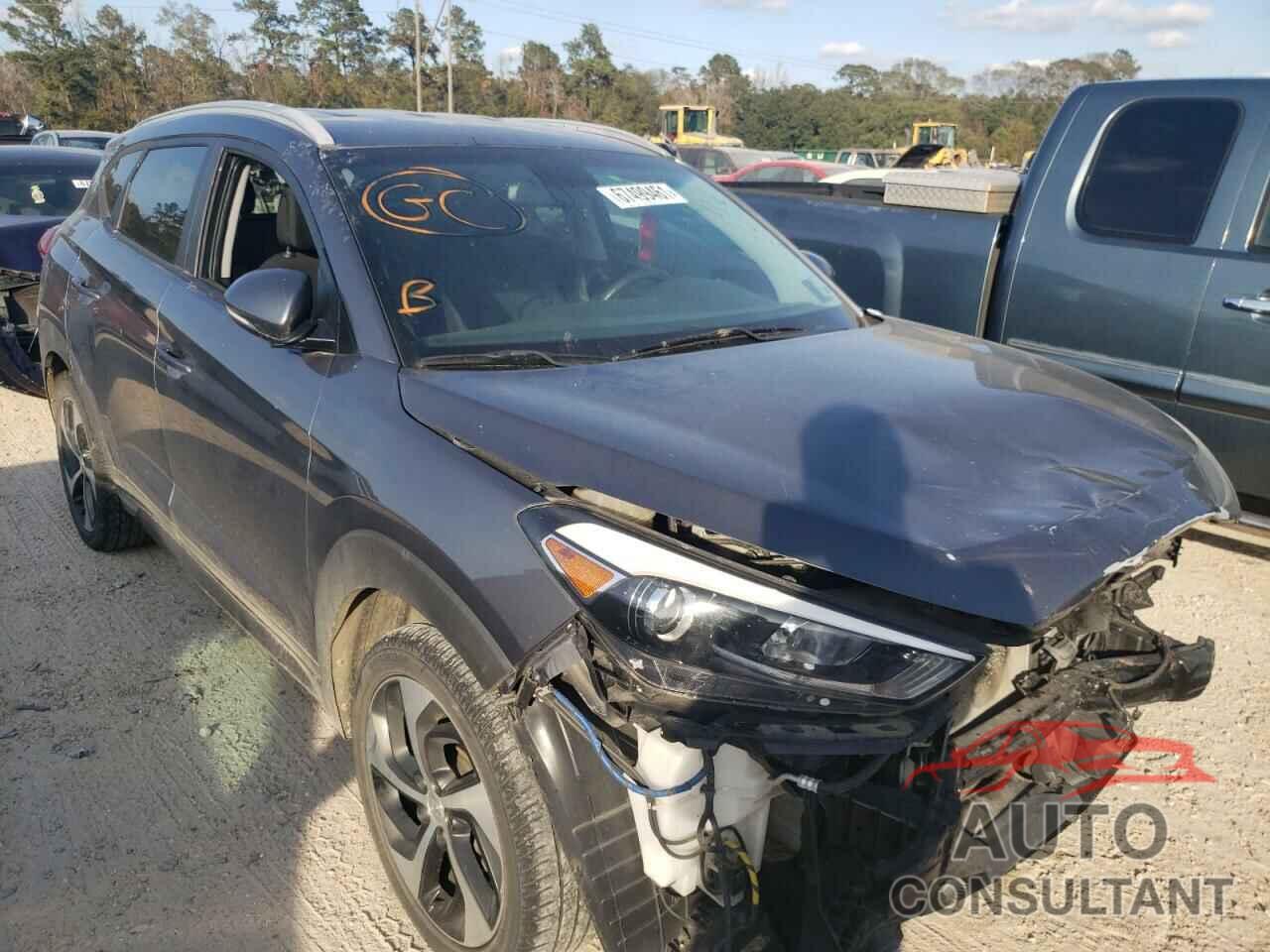 HYUNDAI TUCSON 2016 - KM8J33A22GU183400