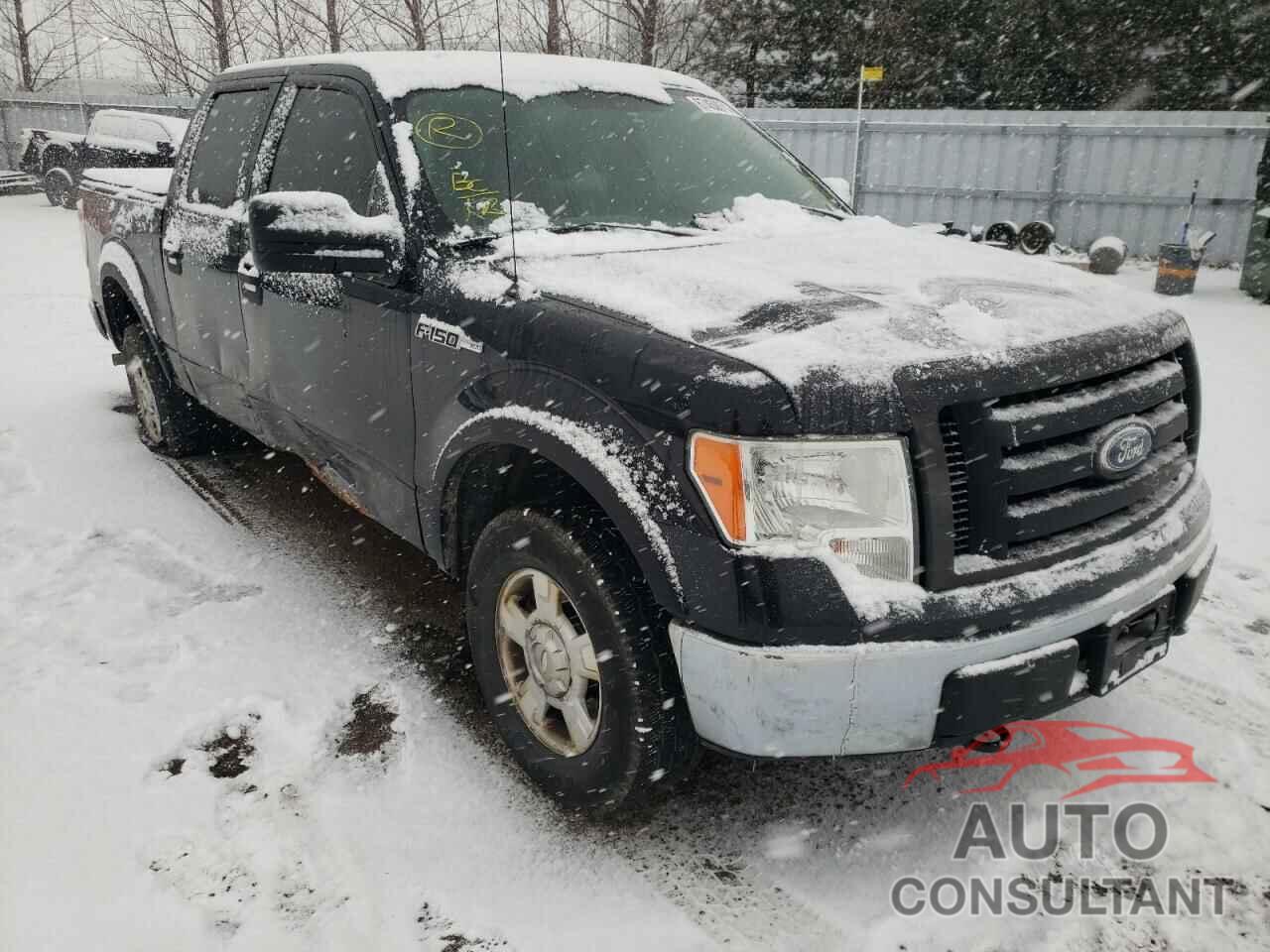 FORD F-150 2010 - 1FTEW1E88AFC73162