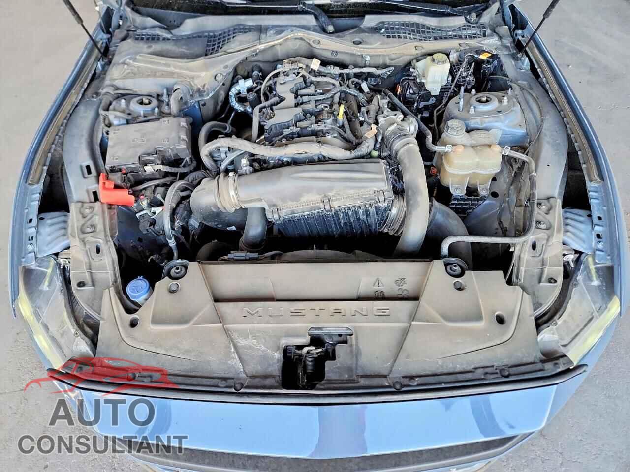 FORD MUSTANG 2024 - 1FA6P8TH4R5100890
