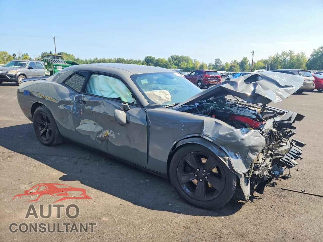 DODGE CHALLENGER 2019 - 2C3CDZAG5KH701699
