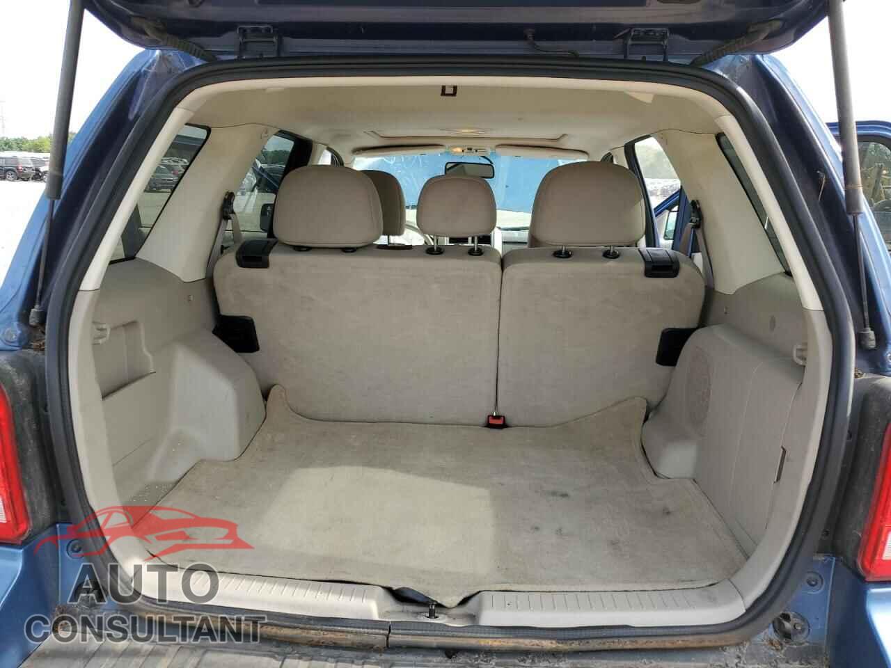 FORD ESCAPE 2010 - 1FMCU0D79AKD17463