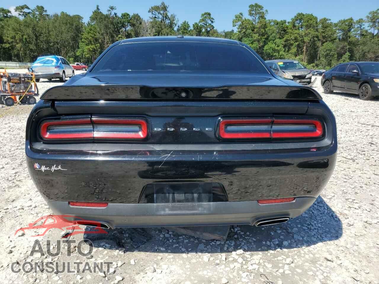 DODGE CHALLENGER 2019 - 2C3CDZAG9KH672045