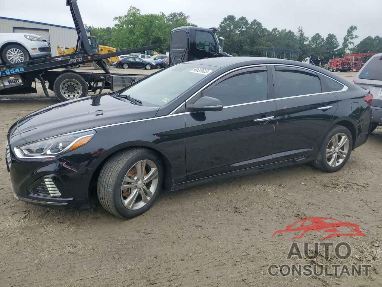HYUNDAI SONATA 2019 - 5NPE34AF5KH748319