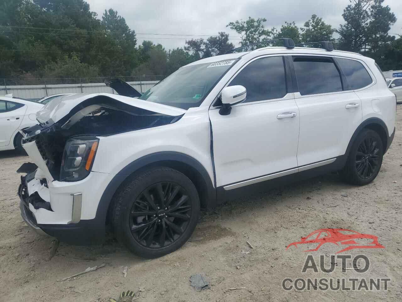 KIA TELLURIDE 2022 - 5XYP54HC9NG271579