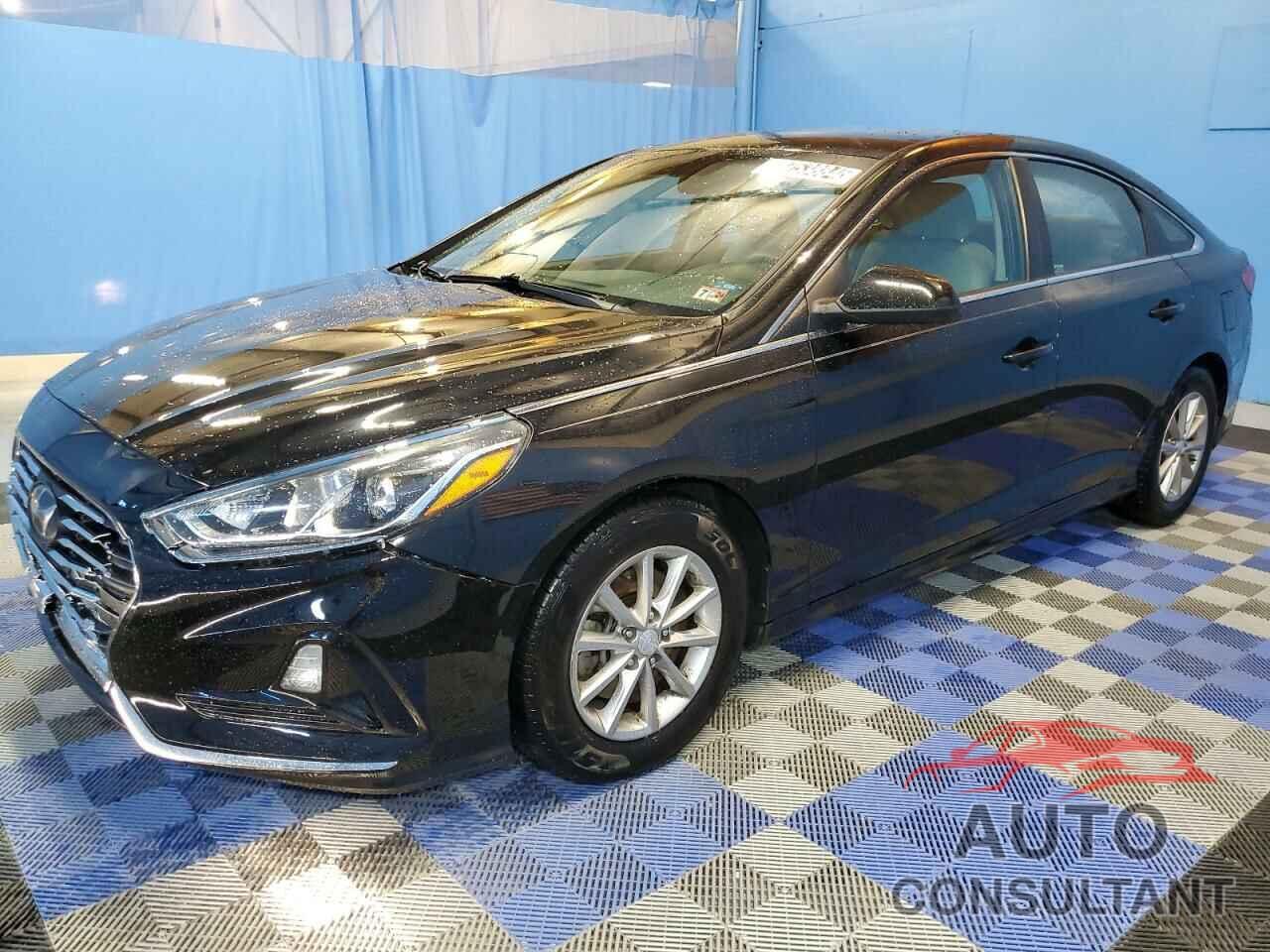 HYUNDAI SONATA 2019 - 5NPE24AF7KH791515