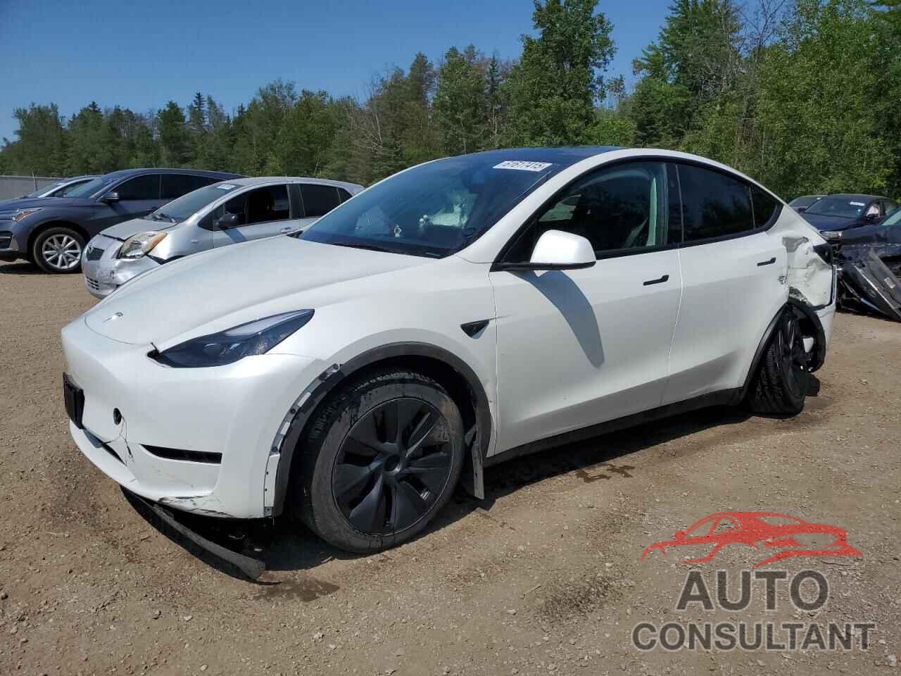 TESLA MODEL Y 2024 - 7SAYGDED1RF107643