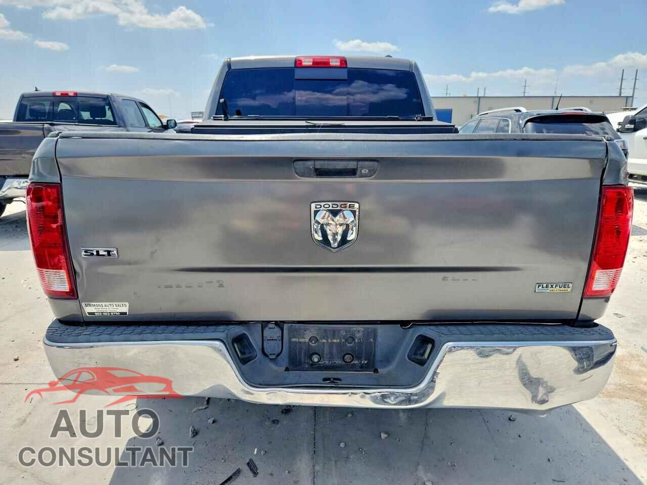 DODGE RAM 1500 2010 - 1D7RB1GP7AS247375