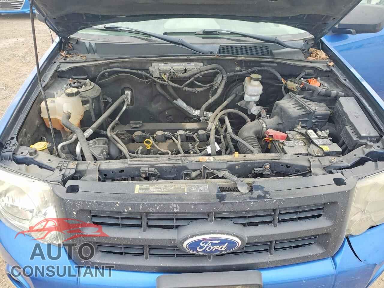 FORD ESCAPE 2011 - 1FMCU9D71BKC54915