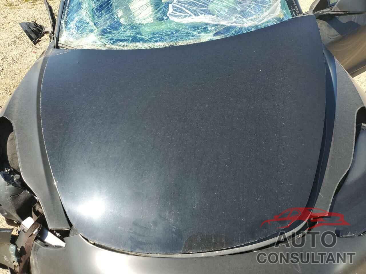 TESLA MODEL 3 2021 - 5YJ3E1EA1MF031965