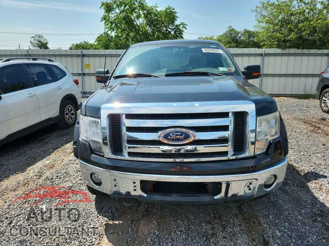 FORD F-150 2010 - 1FTFW1EV9AFA81260