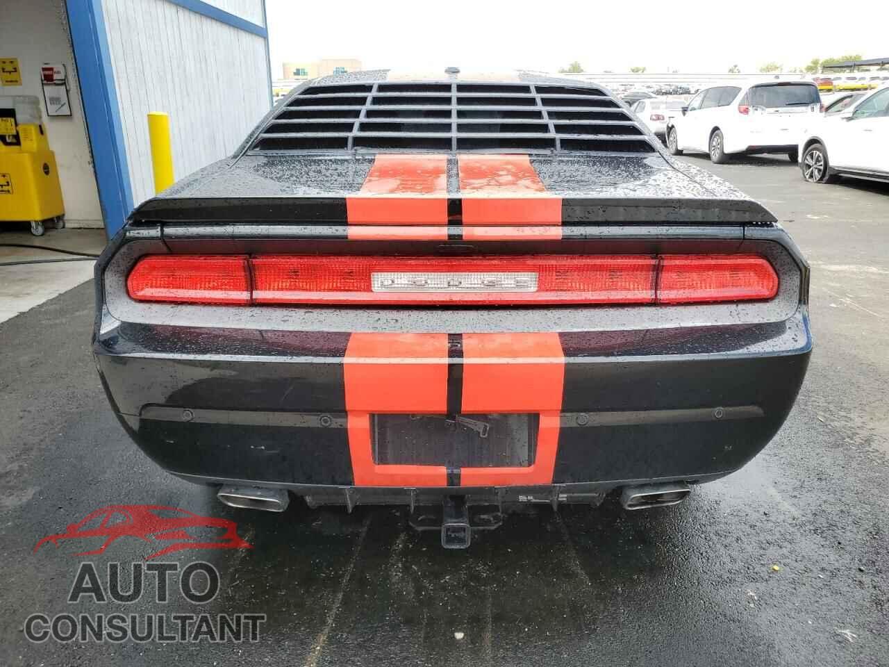 DODGE CHALLENGER 2013 - 2C3CDYBTXDH500633